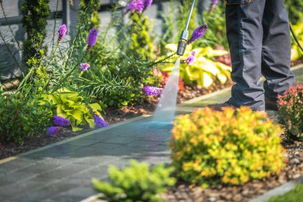 Best Restaurant Pressure Washing  in Loomis, CA